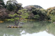 Знакомство с Японией в период цветения сакуры. Как просто путешествовать по Японии.