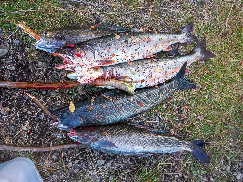 Осенние краски Чукотки