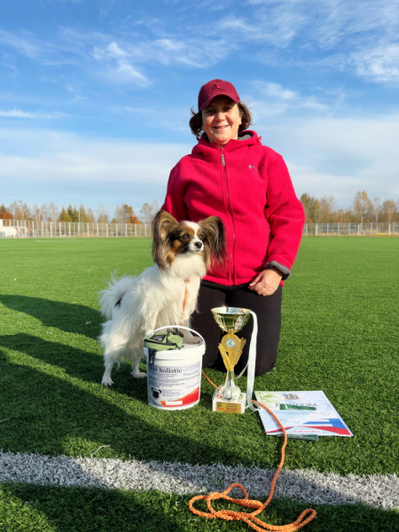 Кошки в нашей жизни. Кошки и все, что с ними связано.
