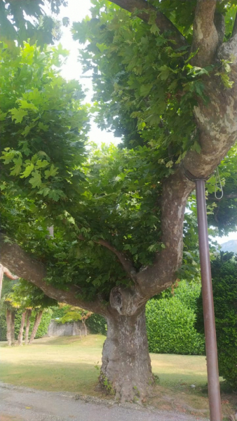 Италия и Франция в одном флаконе: инструкция по созданию нового человека