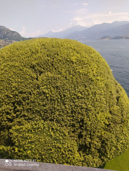 Италия и Франция в одном флаконе: инструкция по созданию нового человека