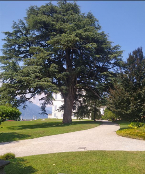 Италия и Франция в одном флаконе: инструкция по созданию нового человека