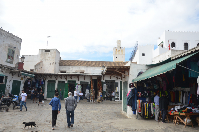 Марокко в сентябре 2024: Танжер, Шефшауэн, водопады Akchour и Тетуан.