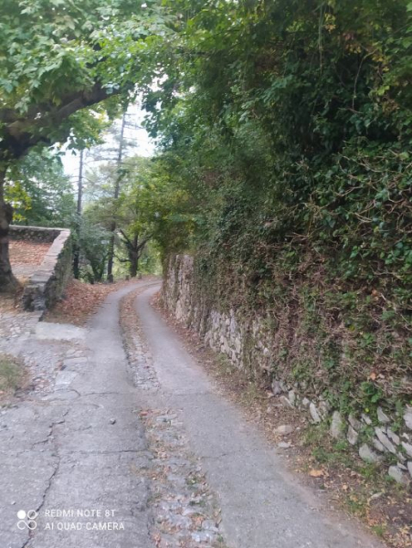 Италия и Франция в одном флаконе: инструкция по созданию нового человека