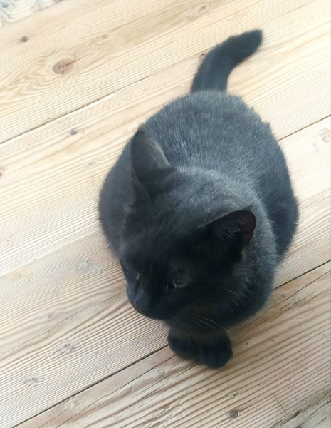 Италия и Франция в одном флаконе: инструкция по созданию нового человека