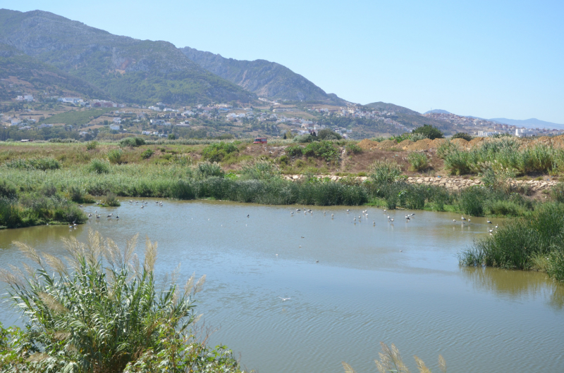 Марокко в сентябре 2024: Танжер, Шефшауэн, водопады Akchour и Тетуан.