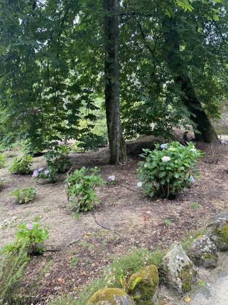 Путевые заметки Беларусь – Испания – Португалия и обратно (июнь 2024)