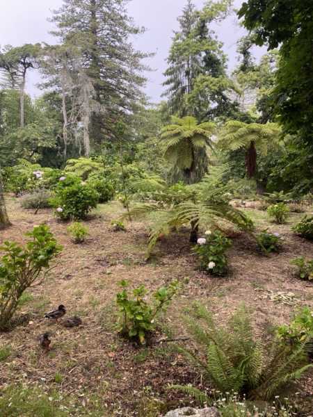 Путевые заметки Беларусь – Испания – Португалия и обратно (июнь 2024)