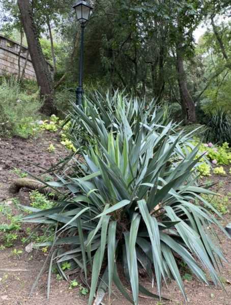 Путевые заметки Беларусь – Испания – Португалия и обратно (июнь 2024)