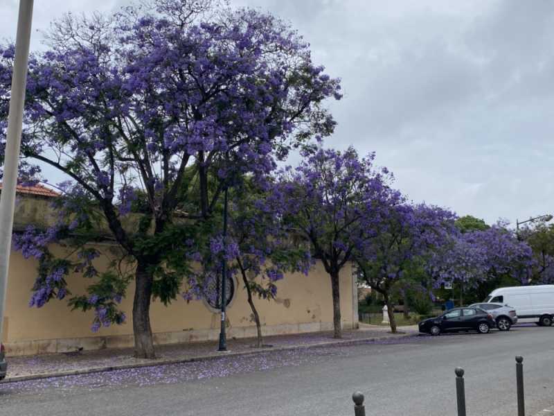 Путевые заметки Беларусь – Испания – Португалия и обратно (июнь 2024)