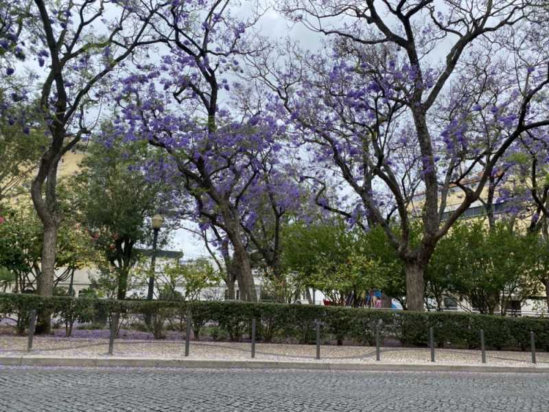 Путевые заметки Беларусь – Испания – Португалия и обратно (июнь 2024)