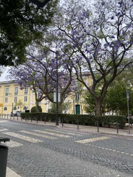 Путевые заметки Беларусь – Испания – Португалия и обратно (июнь 2024)