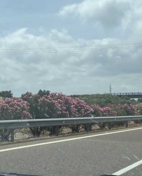 Путевые заметки Беларусь – Испания – Португалия и обратно (июнь 2024)