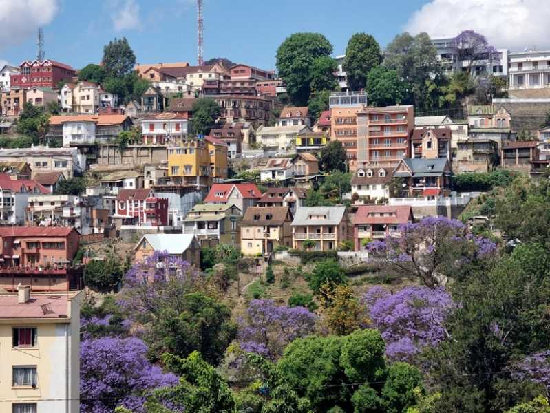 Мадагаскар и Маврикий. Баобабы и киты.