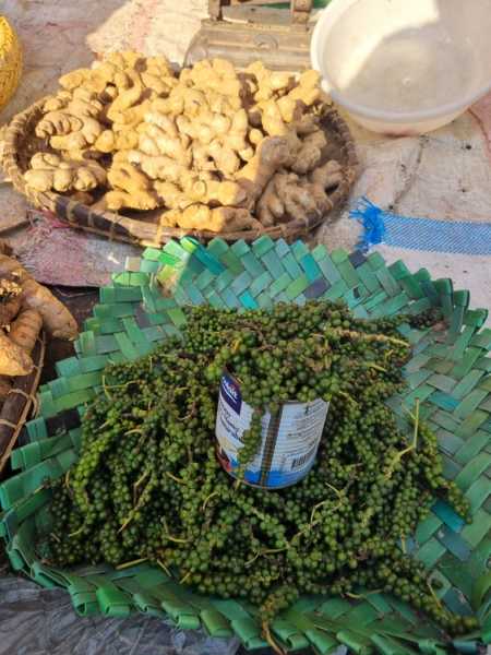 Мадагаскар и Маврикий. Баобабы и киты.