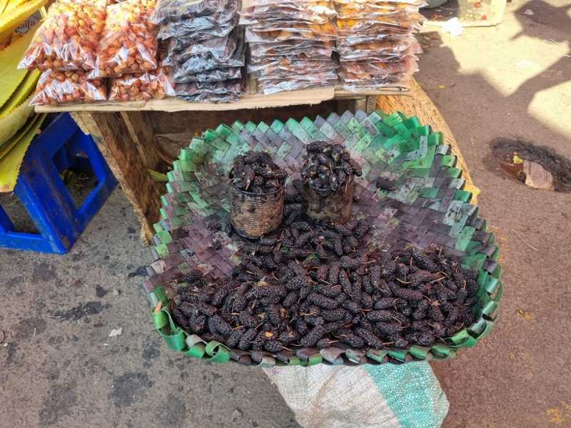 Мадагаскар и Маврикий. Баобабы и киты.