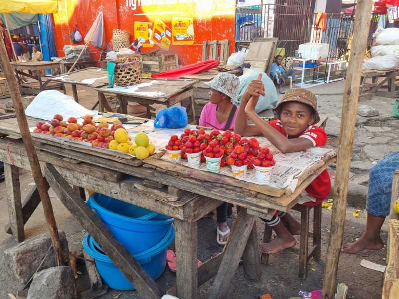 Мадагаскар и Маврикий. Баобабы и киты.