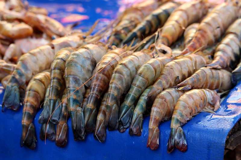 Мадагаскар и Маврикий. Баобабы и киты.