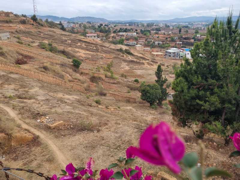 Мадагаскар и Маврикий. Баобабы и киты.