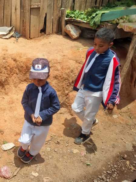 Мадагаскар и Маврикий. Баобабы и киты.