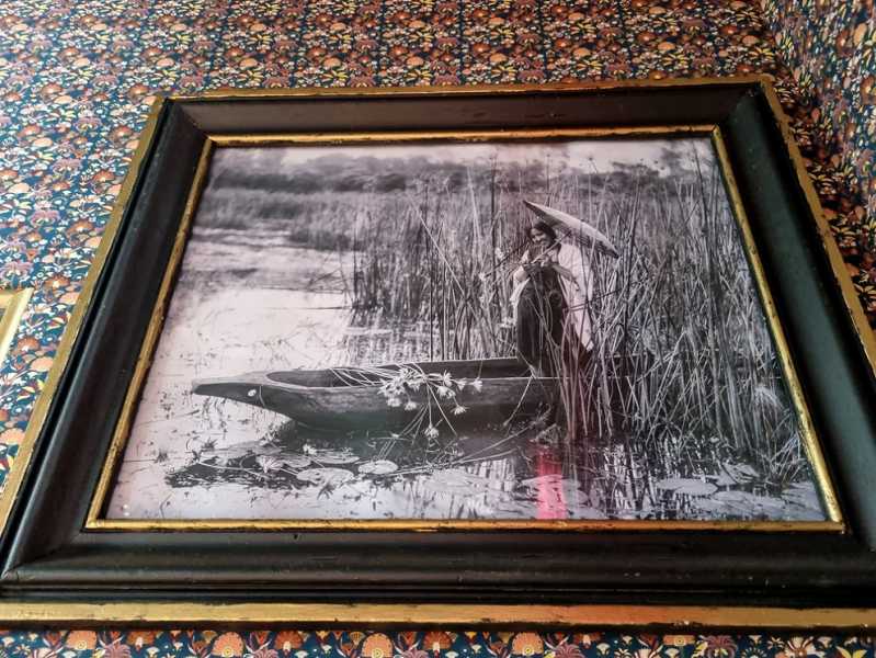 Мадагаскар и Маврикий. Баобабы и киты.