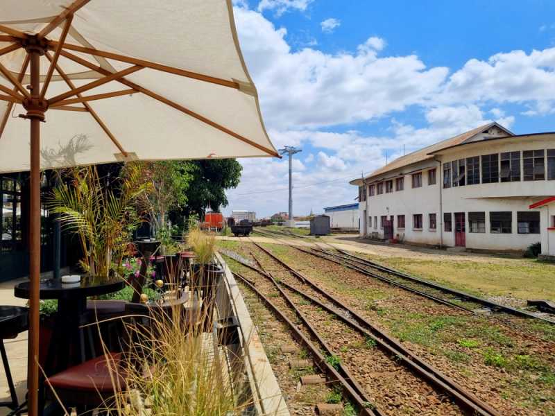 Мадагаскар и Маврикий. Баобабы и киты.