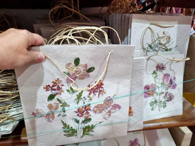 Мадагаскар и Маврикий. Баобабы и киты.