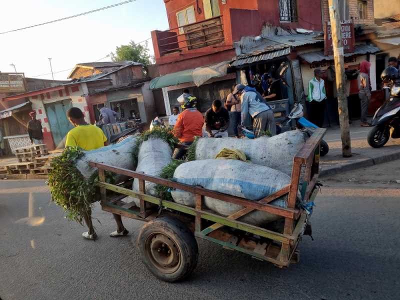 Мадагаскар и Маврикий. Баобабы и киты.