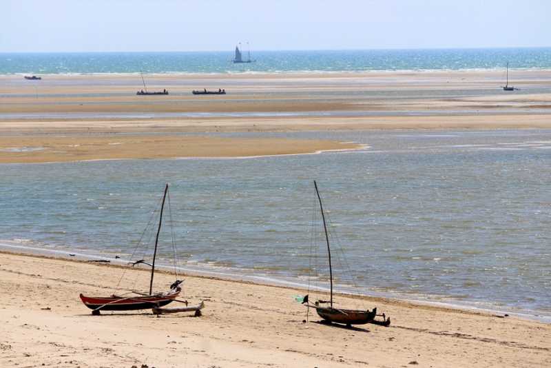 Мадагаскар и Маврикий. Баобабы и киты.