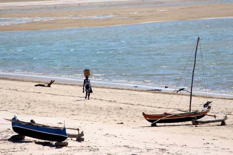 Мадагаскар и Маврикий. Баобабы и киты.