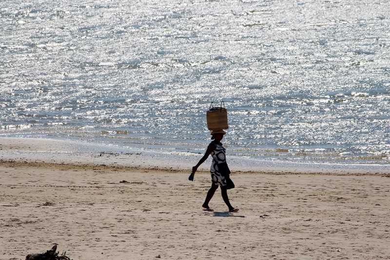 Мадагаскар и Маврикий. Баобабы и киты.