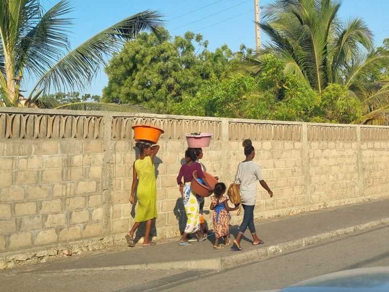 Мадагаскар и Маврикий. Баобабы и киты.