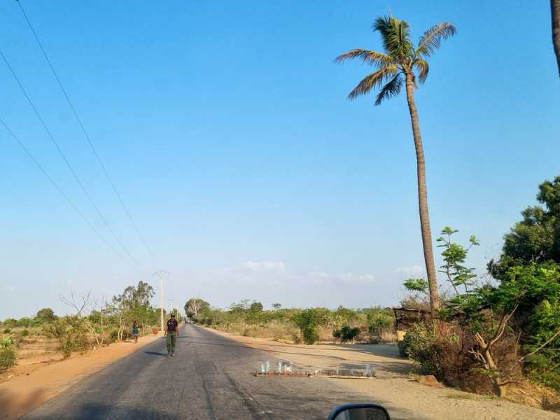 Мадагаскар и Маврикий. Баобабы и киты.