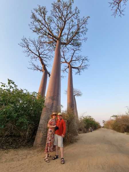 Мадагаскар и Маврикий. Баобабы и киты.