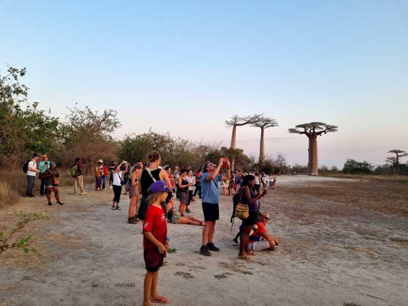 Мадагаскар и Маврикий. Баобабы и киты.