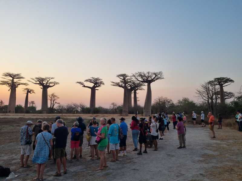 Мадагаскар и Маврикий. Баобабы и киты.