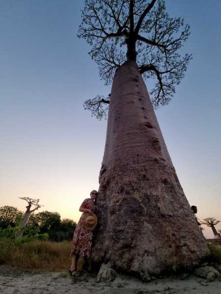 Мадагаскар и Маврикий. Баобабы и киты.