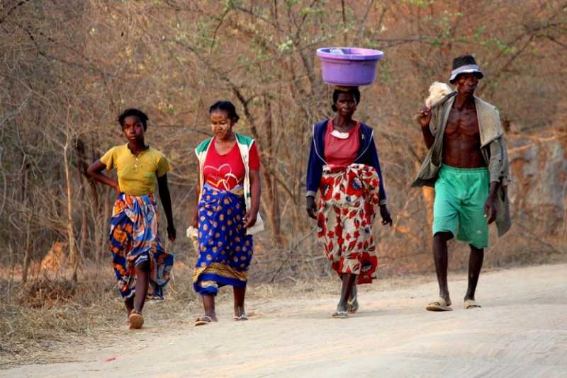 Мадагаскар и Маврикий. Баобабы и киты.