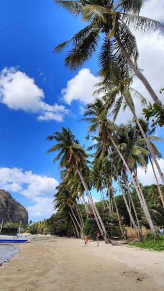 Месяц по Филиппинам с детьми. Себу, Моалбоал, Ослоб, Панглао, Бохол, Корон, Эль Нидо, Манила