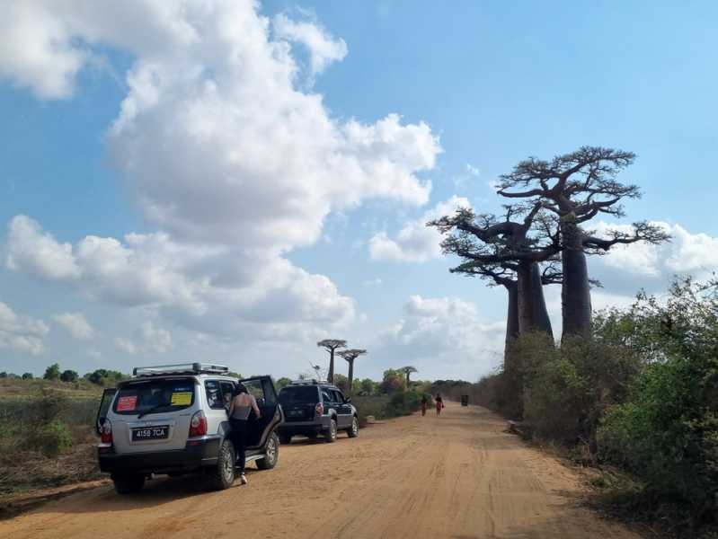 Мадагаскар и Маврикий. Баобабы и киты.