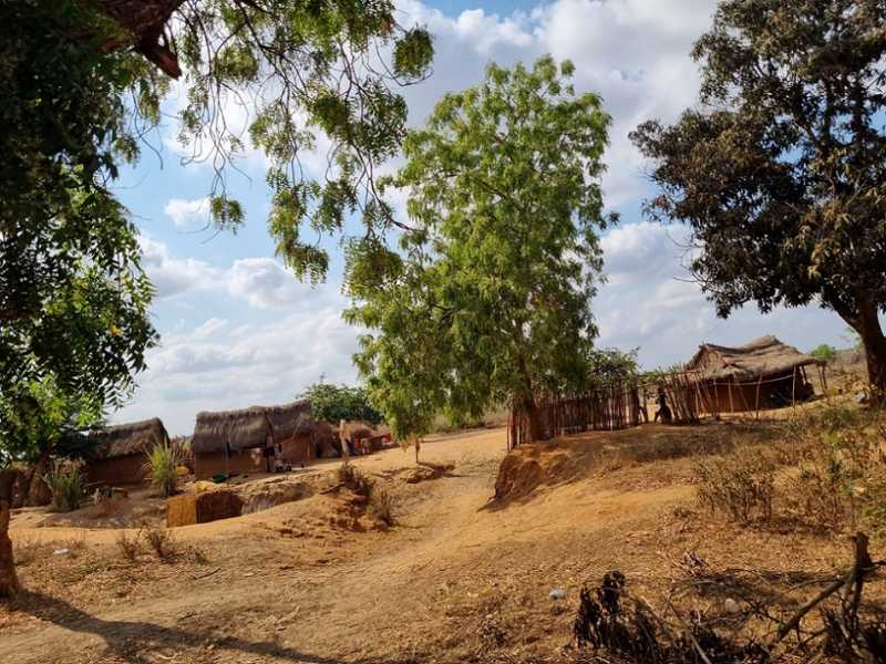 Мадагаскар и Маврикий. Баобабы и киты.