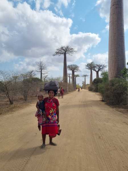 Мадагаскар и Маврикий. Баобабы и киты.