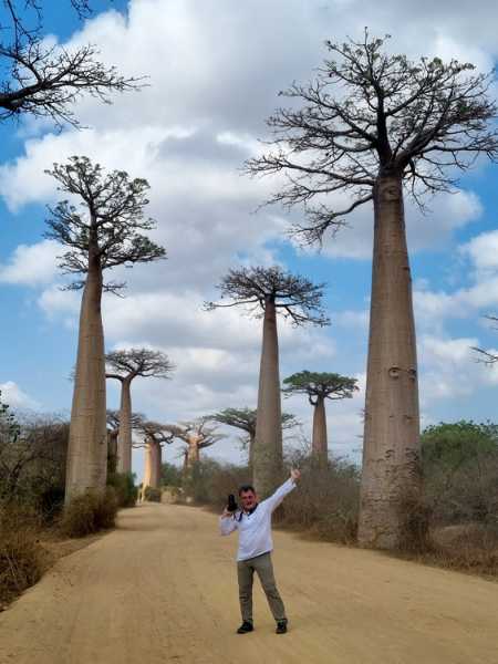 Мадагаскар и Маврикий. Баобабы и киты.