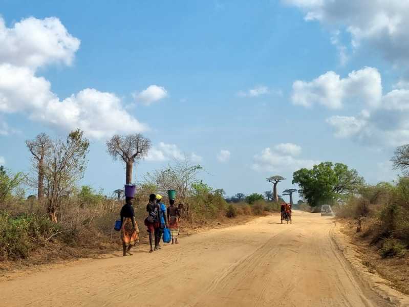 Мадагаскар и Маврикий. Баобабы и киты.