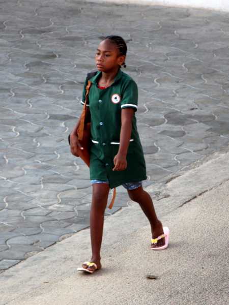 Мадагаскар и Маврикий. Баобабы и киты.