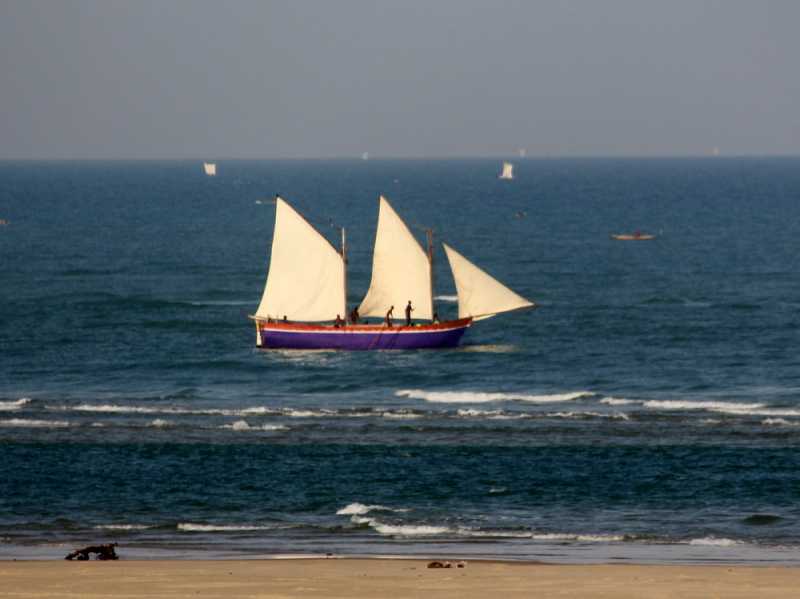 Мадагаскар и Маврикий. Баобабы и киты.
