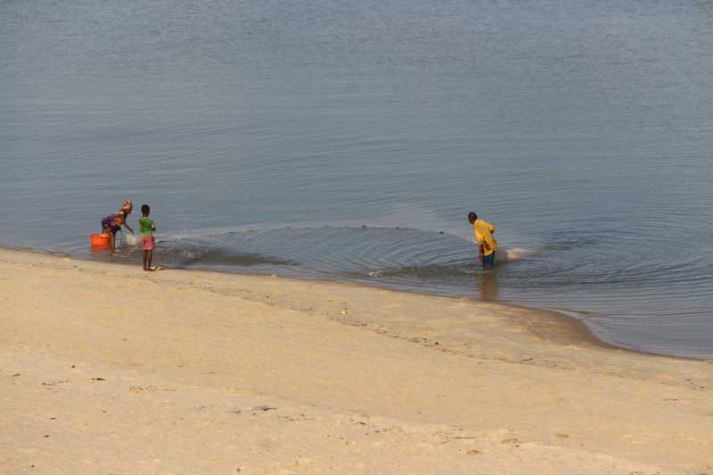 Мадагаскар и Маврикий. Баобабы и киты.