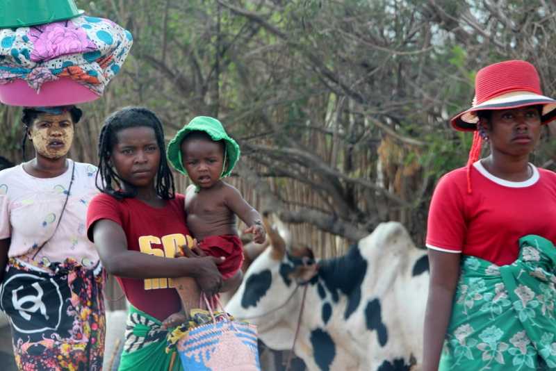 Мадагаскар и Маврикий. Баобабы и киты.