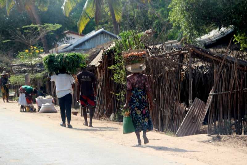 Мадагаскар и Маврикий. Баобабы и киты.