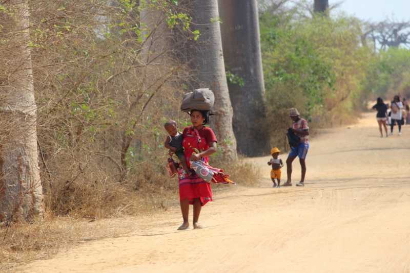 Мадагаскар и Маврикий. Баобабы и киты.